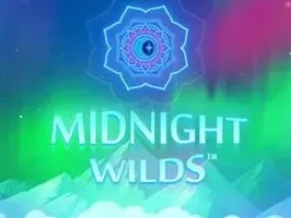 Midnight Wild